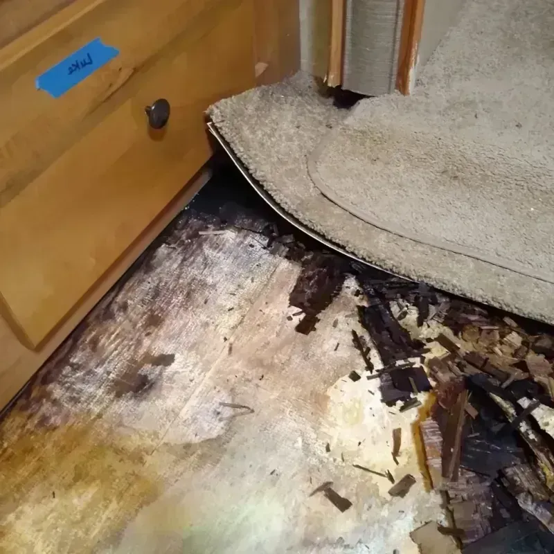 Wood Floor Water Damage in Wyoming, OH